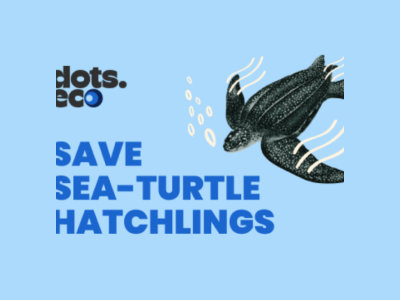 Dots.eco Sea Turtle Gift Card (Spain)