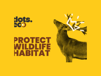 Protect Wildlife Habitat Gift Card (Ireland)